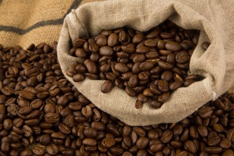 Is there any coffee grown in the United States?