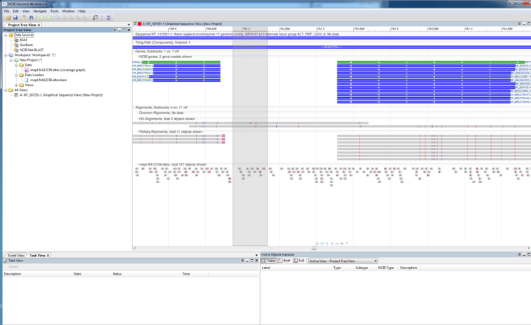 What are BAM files for?