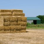 What are bales?