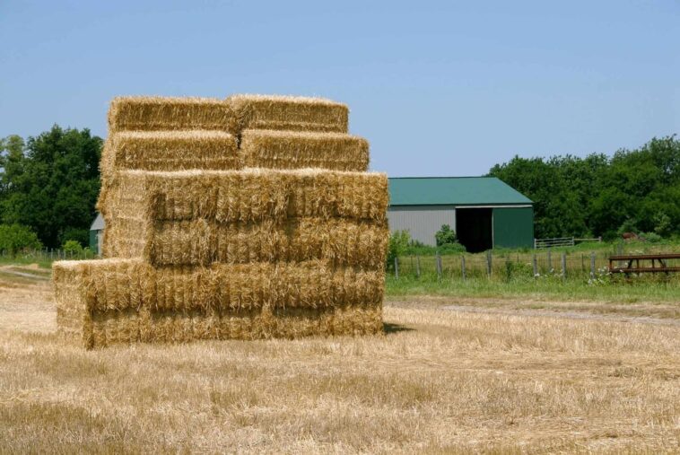 What are bales?