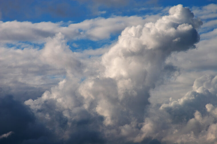 What are nimbus clouds?