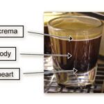 What are the 3 parts of espresso?