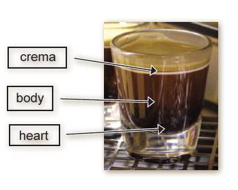 What are the 3 parts of espresso?