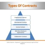 What are the 3 types of employment contracts?