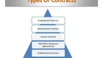 What are the 3 types of employment contracts?