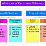 What are the 4 factors that influence consumer behavior?