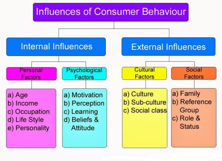 What are the 4 factors that influence consumer behavior?
