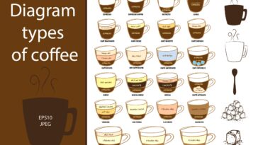 What are the 4 types of coffee?