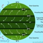 What are the 4 types of wind?