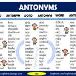 What are the 50 example of antonyms?