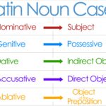 What are the 7 cases in Latin?