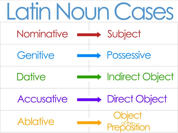 What are the 7 cases in Latin?