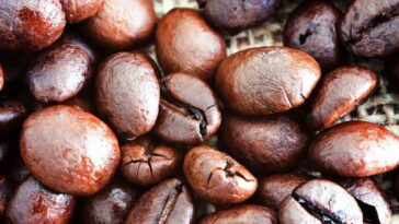 What are the different flavor of coffee?