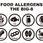 What are the major allergens at Starbucks?