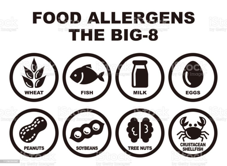 What are the major allergens at Starbucks?