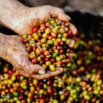 What beans are used for Vietnamese coffee?