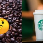 What beans do Starbucks use?