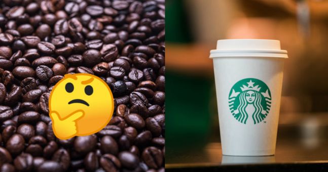 What beans do Starbucks use?