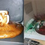 What can you not put in Magic Bullet?