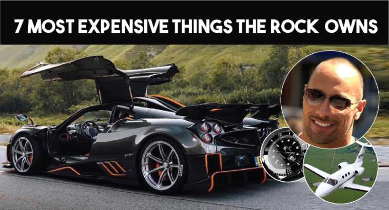 What celebrity owns the most franchises?