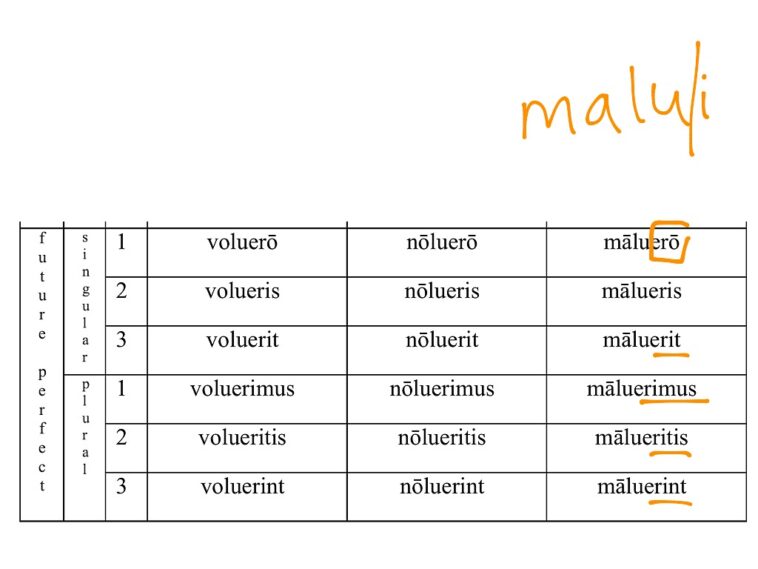 What conjugation is Nolo in Latin?