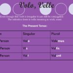 What conjugation is Volo Velle?