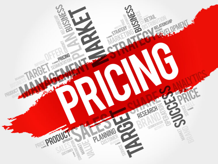 What do you understand by pricing strategies?