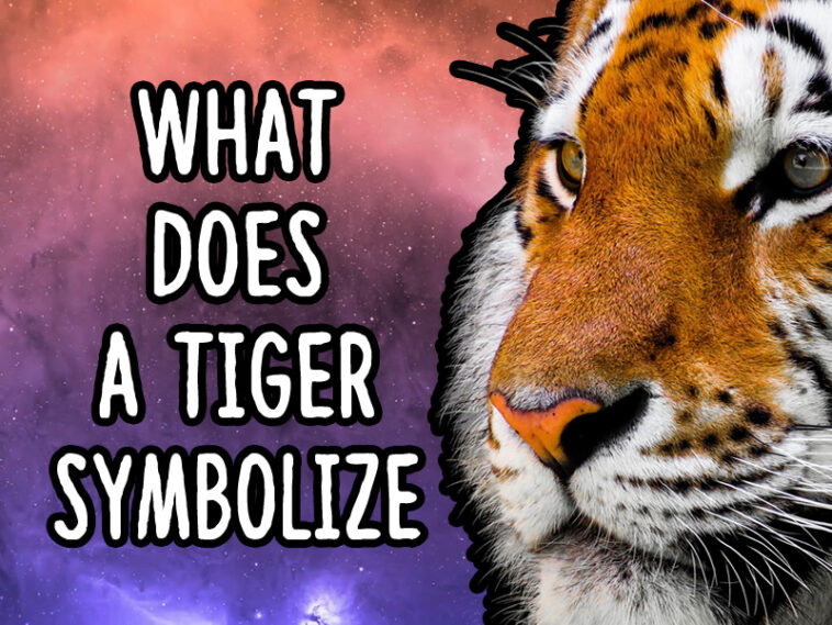 What does Aeolus symbolize?