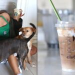 What does Ariana Grande order from Starbucks?