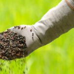 What does Bitter Bitter mean in German?