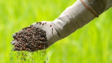 What does Bitter Bitter mean in German?