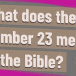 What does Jean mean in the Bible?