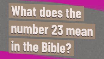 What does Jean mean in the Bible?