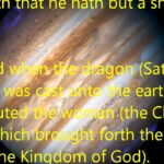 What does Revelio mean?