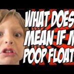 What does Starbies mean?