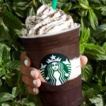 What does Starbucks put in their mocha frappuccino?