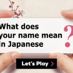 What does Toto in Japanese mean?