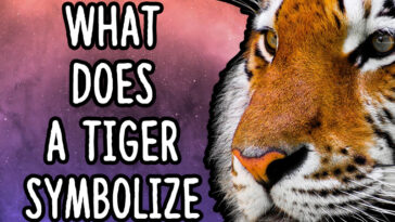 What does Zephyrus symbolize?