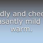 What does it mean to be genial?