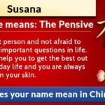 What does the Chinese name yanfei mean?