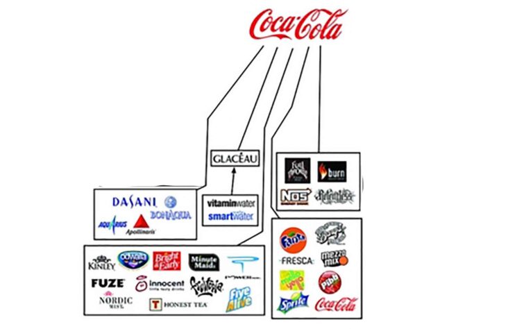 What does the Coca-Cola company own?