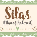 What does the name Silas mean?