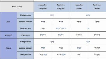 What does tu mean in Latin?