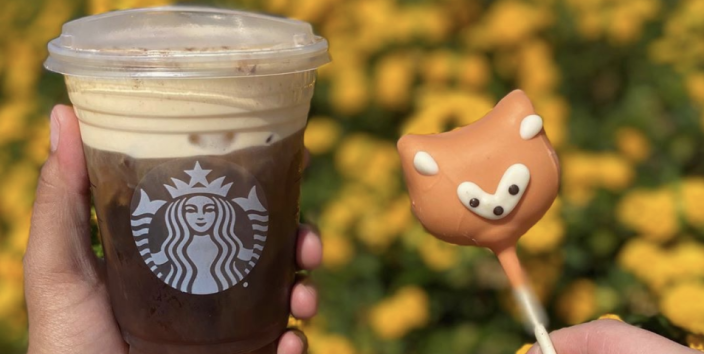 What flavor is the Fox cake pop at Starbucks?