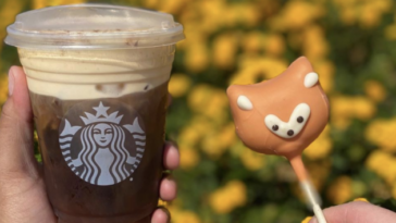 What flavor is the Starbucks Fox cake pop?