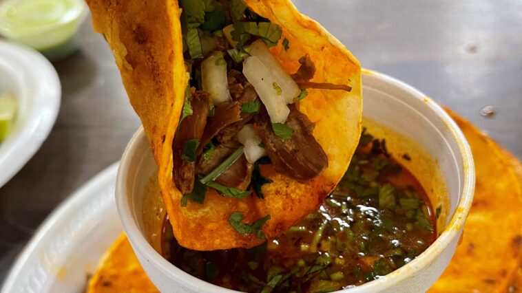 What food is trending on TikTok?