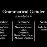 What gender is dies in Latin?