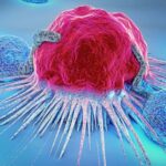 What is Boreas immune to?