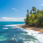 What is Costa Babyccino?