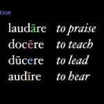 What is Erunt Latin?